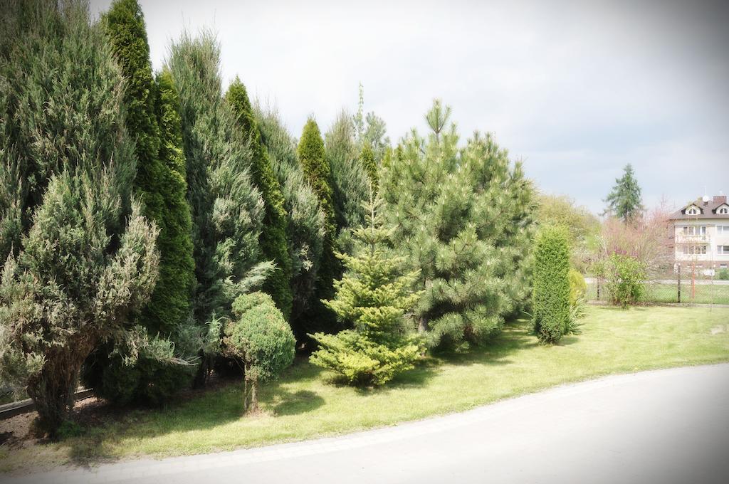 Anna - Pokoje Goscinne - Noclegi Sandomierz Bagian luar foto